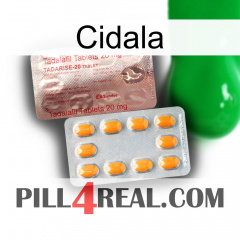 Cidala new13